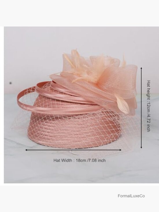 Vintage Feather Mesh Fascinator Hat Pillbox Style for Church Derby Weddings main image 7
